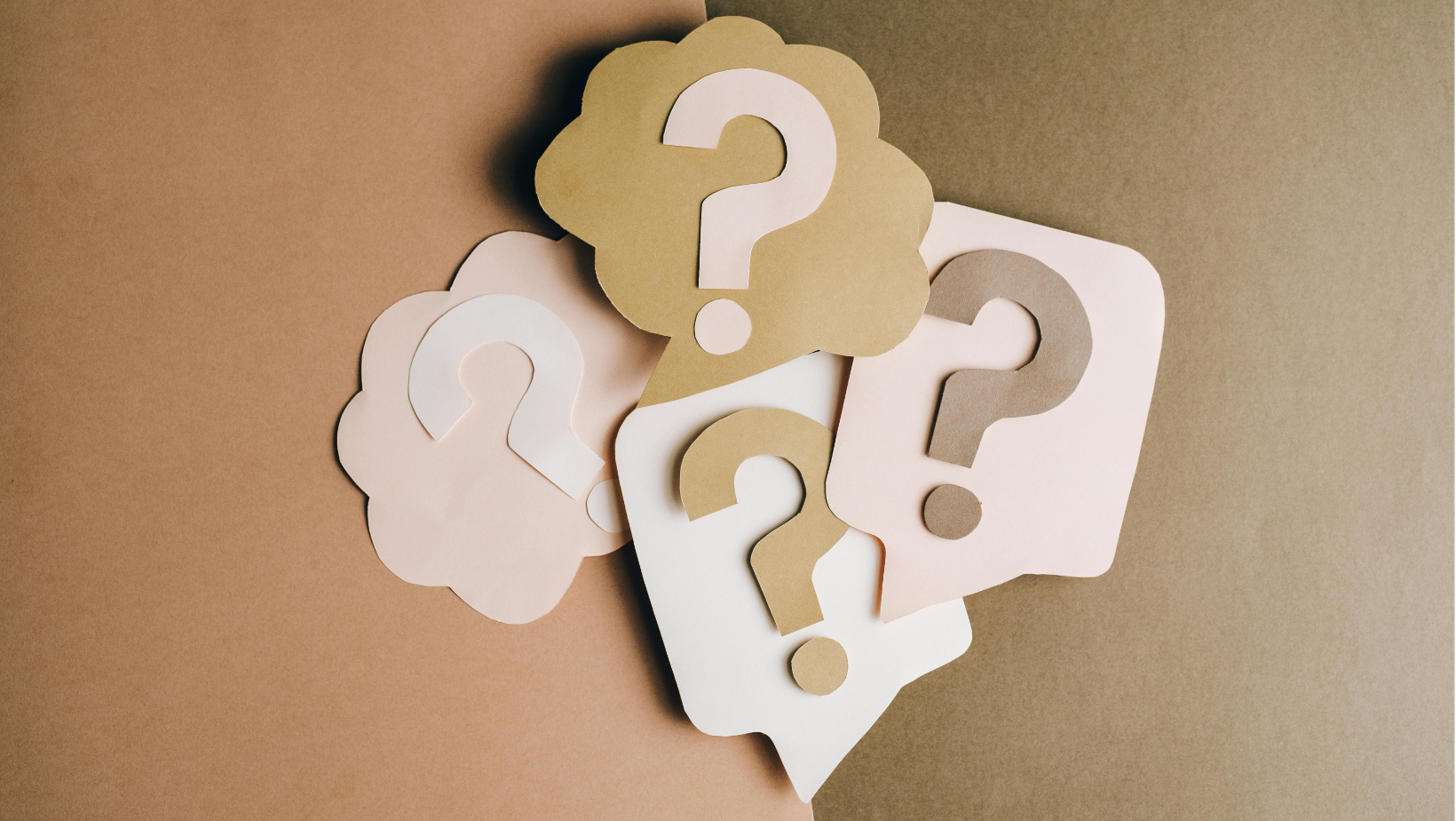 Our Most Asked Questions Snapshot